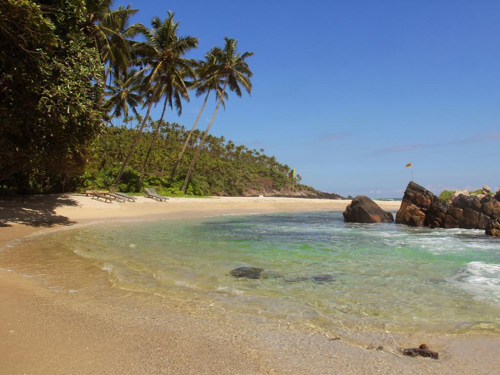 Sooriya Sewana Guest House Banduramulla Luaran gambar